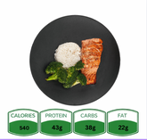 Teriyaki Salmon